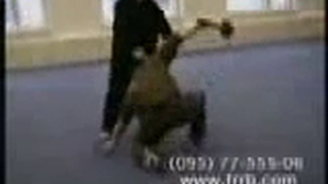 Сергей Викторович Нарышкин, Мастер РРБ - 2003