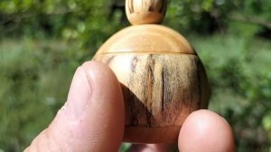Шкатулка в июльском лесу на ольхе