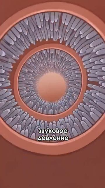 😱 Представь, что весь день на тебя орёт злой мужик.