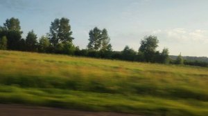 Дорога, поля, поля.