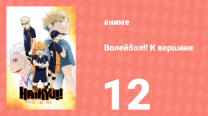Волейбол!! К вершине 12 серия (аниме-сериал, 2020)