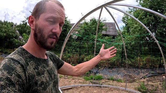 Скоро будет дренаж участка. Продолжаю посадки. Налоговая оштрафовала за 2024й