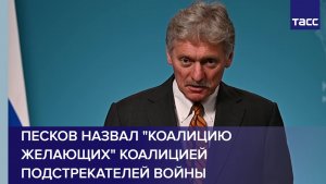 Песков назвал «коалицию желающих» коалицией подстрекателей войны