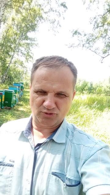 12 июля 2026 года пасека на медосборе в лесу