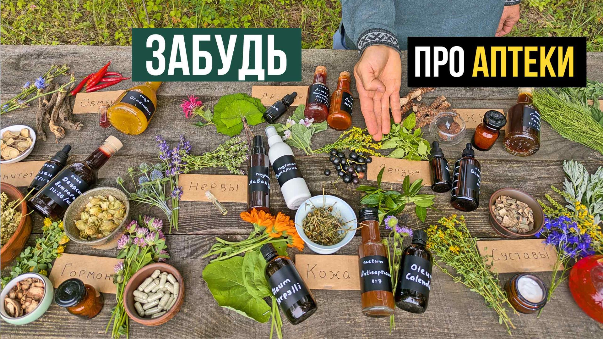Взломай систему - делай лекарства сам из трав смотреть онлайн