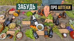 Взломай систему - делай лекарства сам из трав