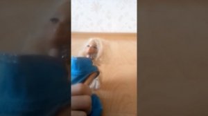 БОЛЬНИЦА ДЛЯ ЖИВОТНЫХ