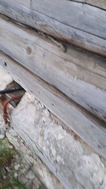 квест смотреть онлайн