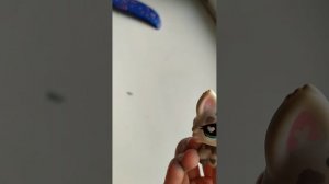 разговорное видео со мной в принципе как всегда
