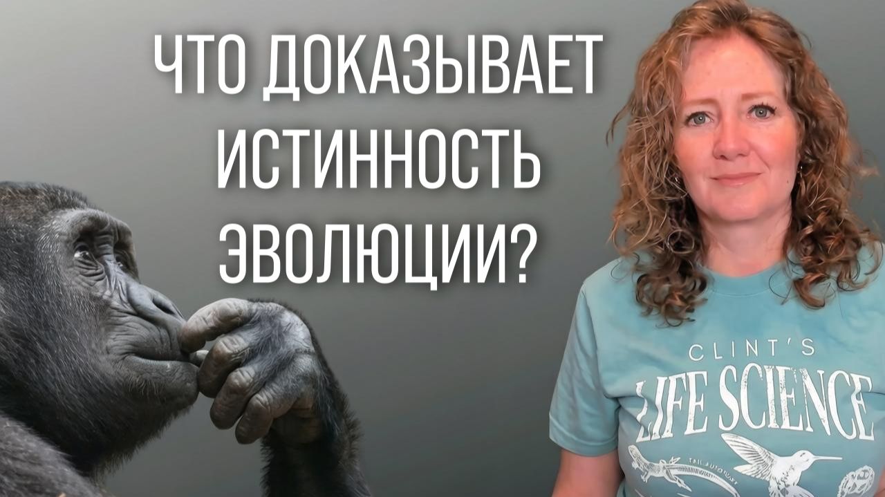Эволюция — истина? Докажите!