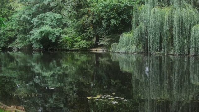 гр.Новая песня - Ивушка смотреть онлайн