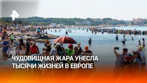 Более 10 тыс. человек погибли из-за экстремальной жары в Европе