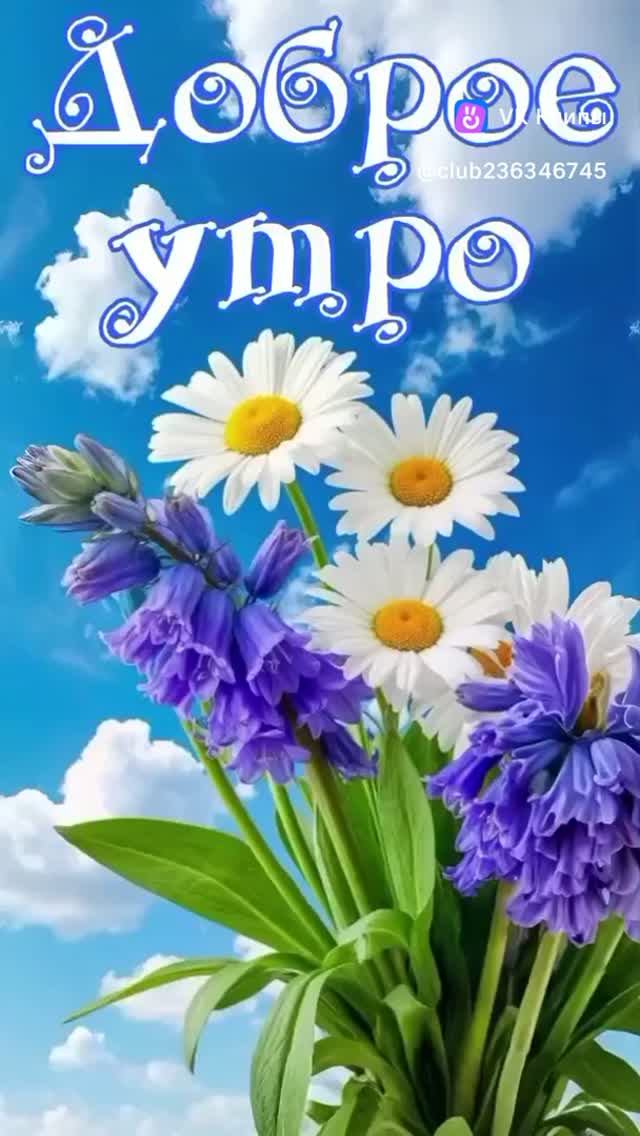 Доброе утро! смотреть онлайн