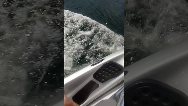 я на гидроцикле часть 2