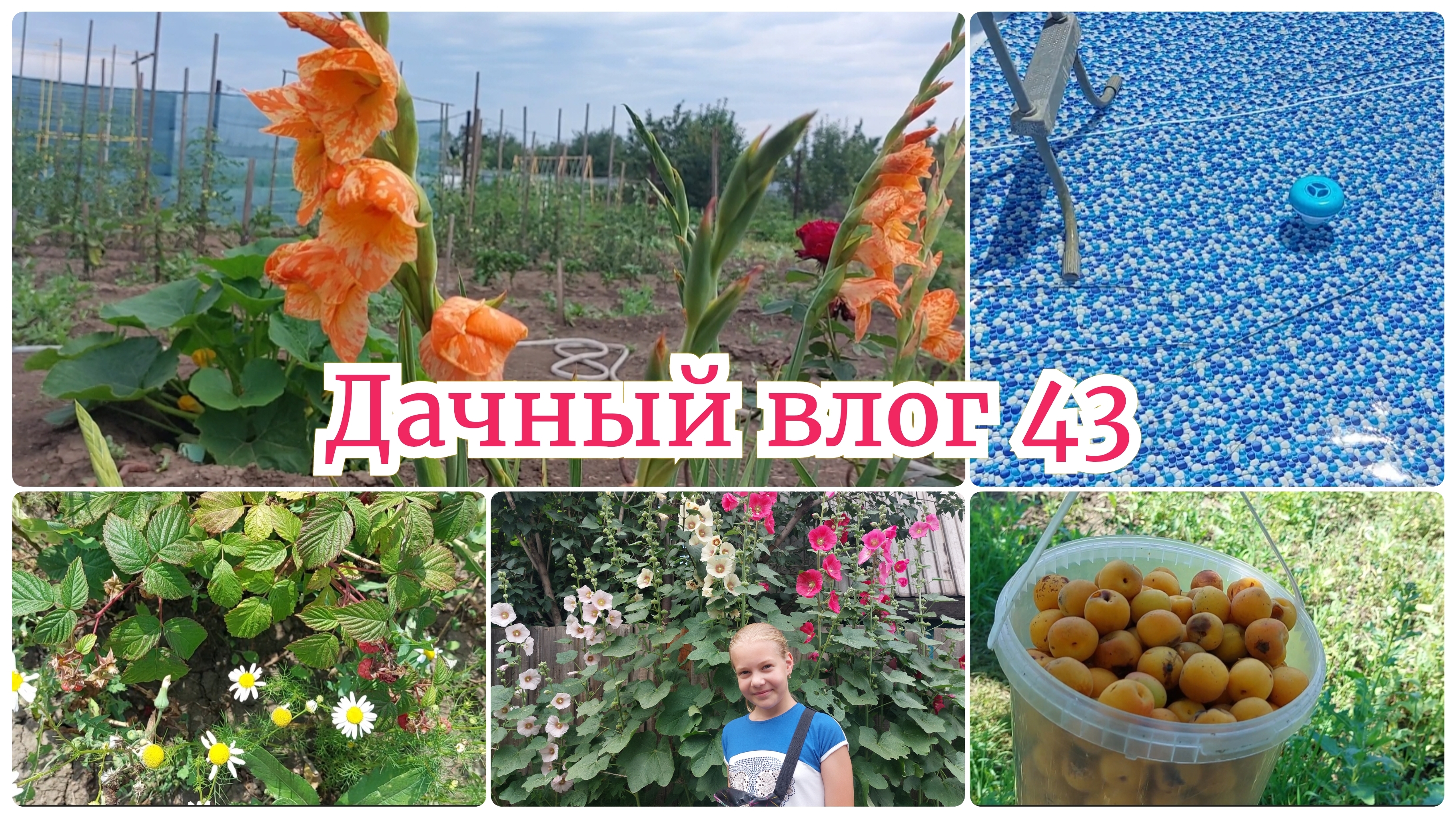Обновили бассейн / Жара невыносимая / Планы на осень / Поливалка для Ангелины 😅 смотреть онлайн