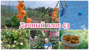 Обновили бассейн / Жара невыносимая / Планы на осень / Поливалка для Ангелины 😅