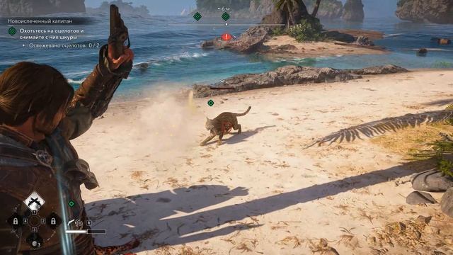 Assassin’s Creed IV Black Flag Resynced#3