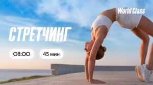 СТРЕТЧИНГ с Эльвирой Сахибгареевой | 14 июля 2026 | Онлайн-тренировки World Class