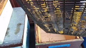 Разделительные решётки пчеловодные