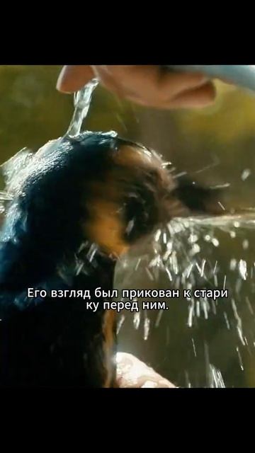 Кино без лишних слов ⏱️🎥🧠🔥 смотреть онлайн
