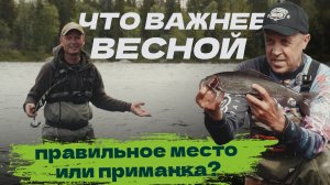 Что важнее весной: Правильное место или приманка?