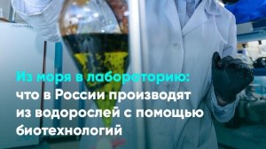 Из моря в лабораторию: что в России производят из водорослей с помощью биотехнологий