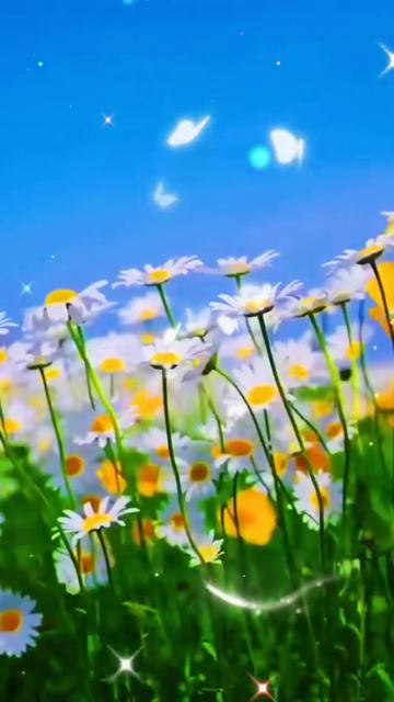 Доброго дня!🌞☕🍰🍒 смотреть онлайн