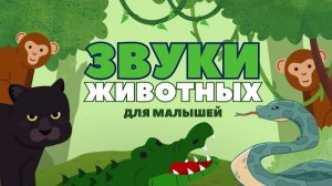 ЗВУКИ ЖИВОТНЫХ- Обучающий и развивающий мультфильм со звуками животных для малышей