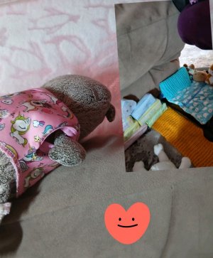 наш мини влог🩷👍💓💖