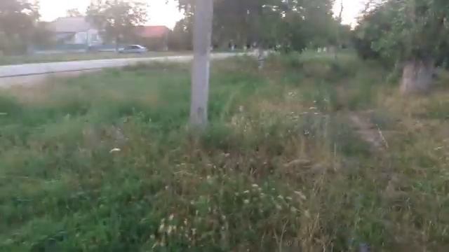 The Real 549 смотреть онлайн