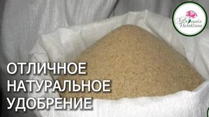 ОТЛИЧНОЕ НАТУРАЛЬНОЕ УДОБРЕНИЕ, ПРО КОТОРОЕ НЕЗАСЛУЖЕНО ЗАБЫЛИ