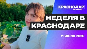 Неделя в Краснодаре. Ситуация с топливом, новая школа, защита от солнца и расцветшие лотосы