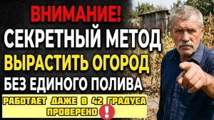 Огород без полива - это не миф! Этим методом пользовались тысячи лет. Потом забыли.