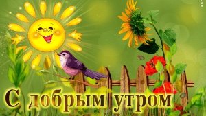 Доброе июльское утро. Шикарная музыкальная открытка.