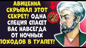 ТАЙНА АВИЦЕННЫ ЖУЙ 60 СЕКУНД — и забудь про туалет до утра!