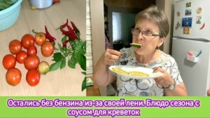 Остались без бензина из-за своей лени. Блюдо сезона с соусом для креветок