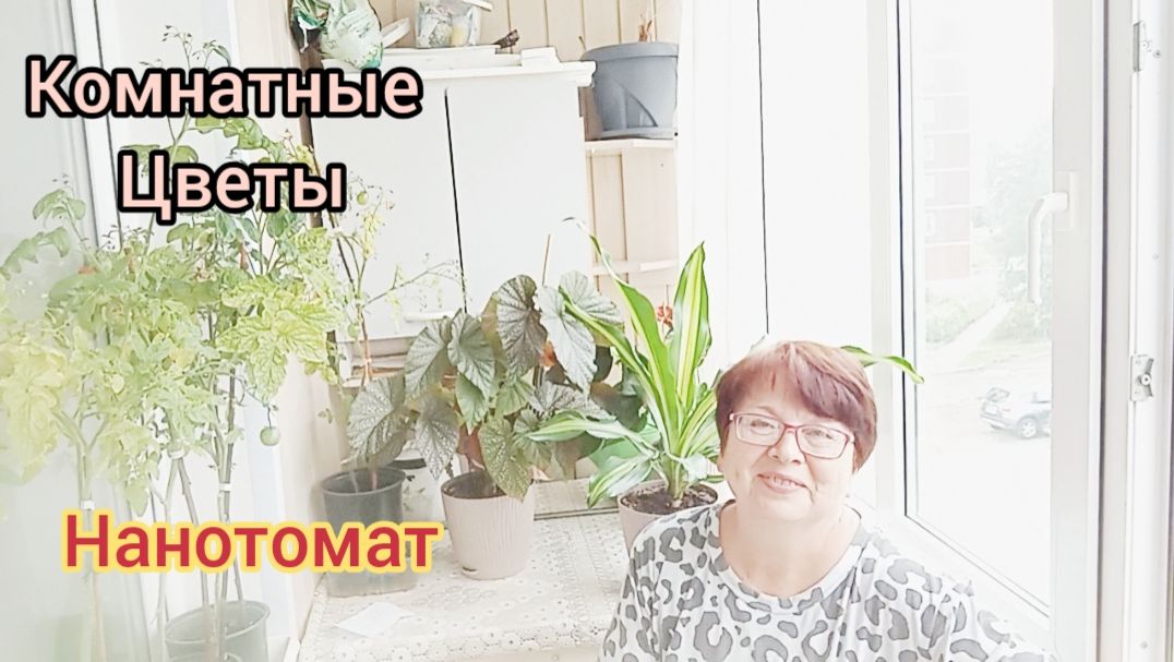 Как поживают мои КОМНАТНЫЕ ЦВЕТЫ 🪴ПОРА УДАЛЯТЬ НАНОТОМАТ🍅13.07.26г