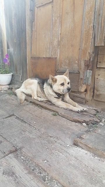 деревня смотреть онлайн