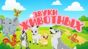 Настоящие звуки животных Развивашка для малышей Звуки животных для самых маленьких