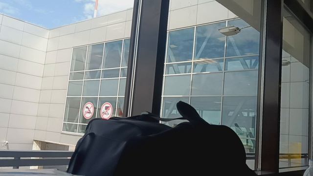 мое последнее видио (я вернусь через 12 дней) смотреть онлайн