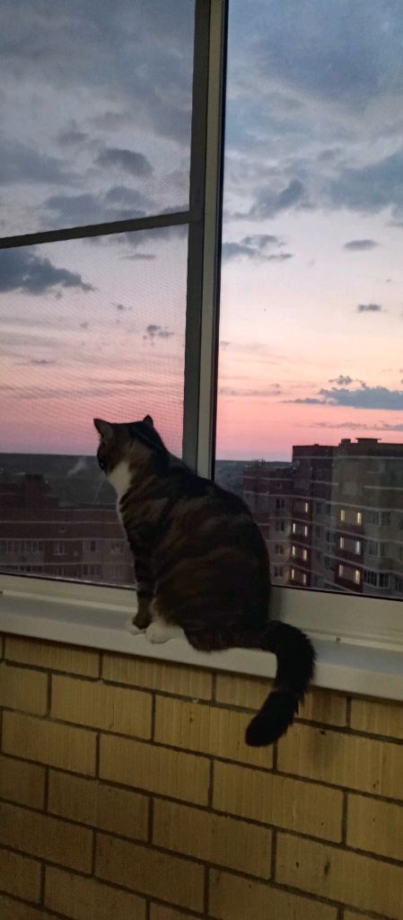 едем в ТЦ