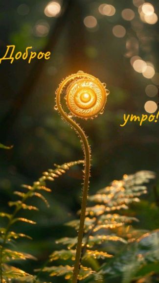 Доброе утро! Отличного дня! Тёплое музыкальное пожелание для вас ☀️