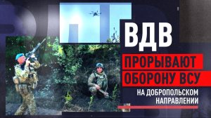 Спокойствие и отточенная тактика: подразделения ВДВ ломают оборону ВСУ на Добропольском направлении
