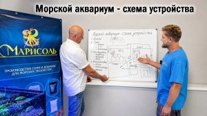 Морской аквариум - схема устройства