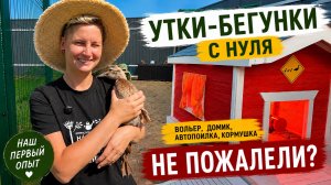 Утки-бегунки с нуля: вольер, домик, автопоилка и наш первый опыт