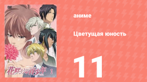 Цветущая юность 11 серия (аниме-сериал, 2009)