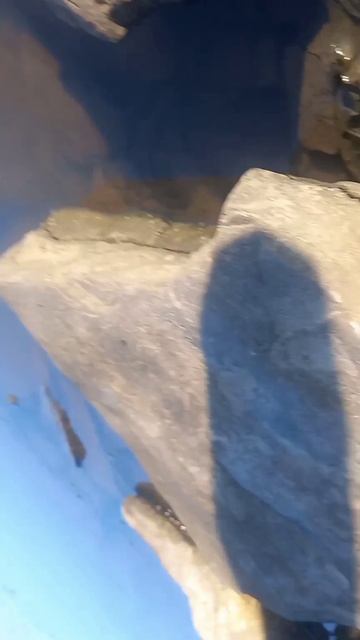 1000106083.mp4 смотреть онлайн