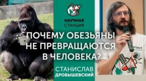 Почему обезьяны не становятся людьми. Антрополог Станислав Дробышевский
