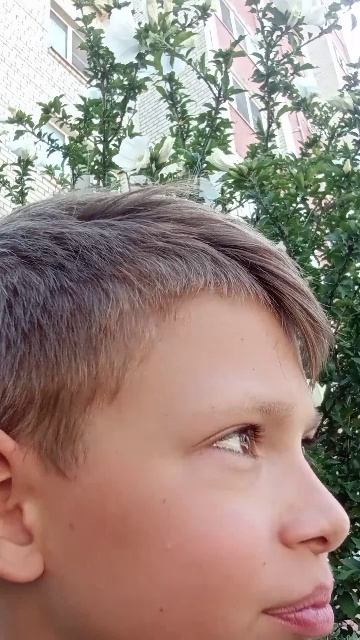 Трансляция Шамиль и Эмиль