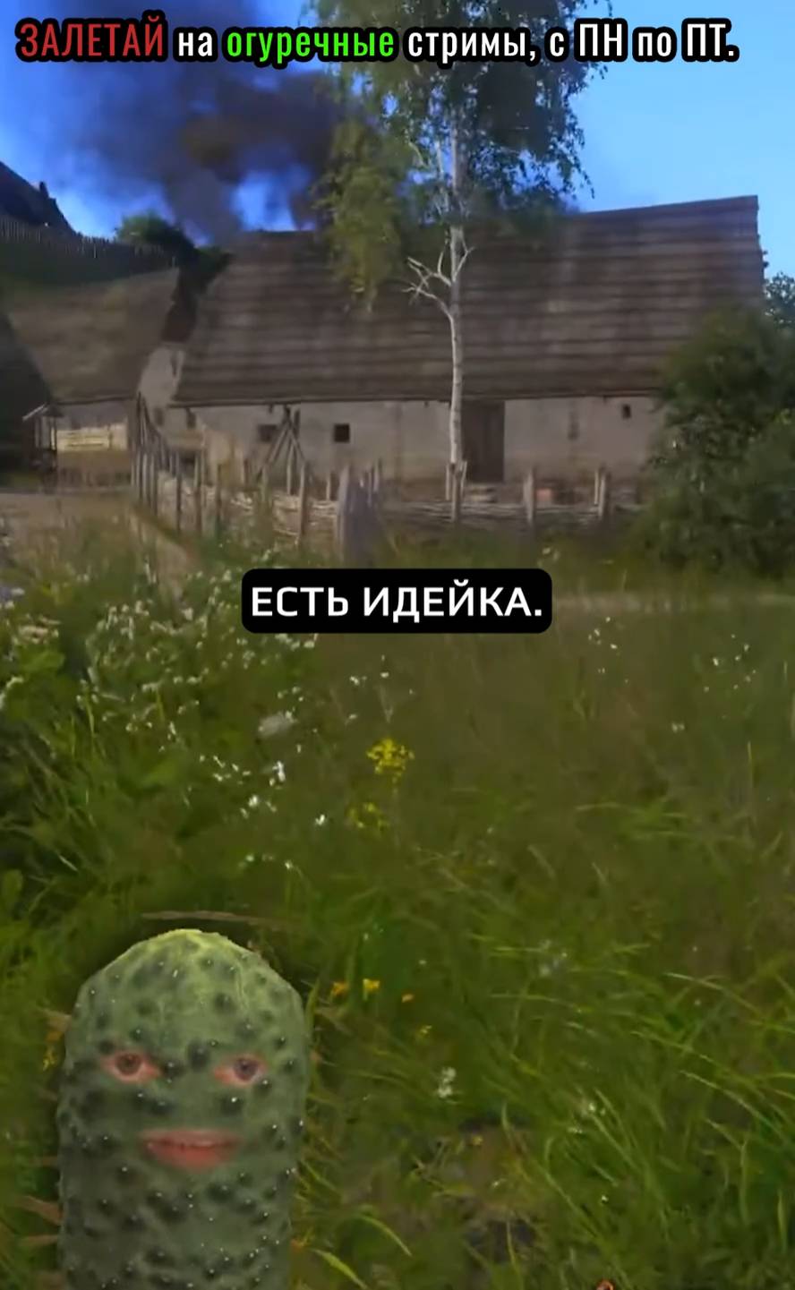 Побег из Скалицы #kingdomcomedeliverance #kcd
